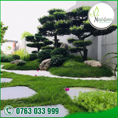 CÔNG TY TNHH TM DV NGUYỄN GARDEN